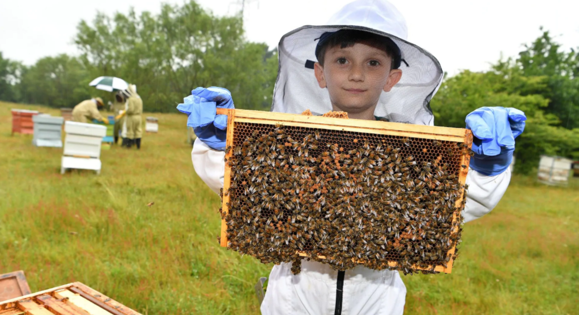 beekeeper TT beekeeper TT