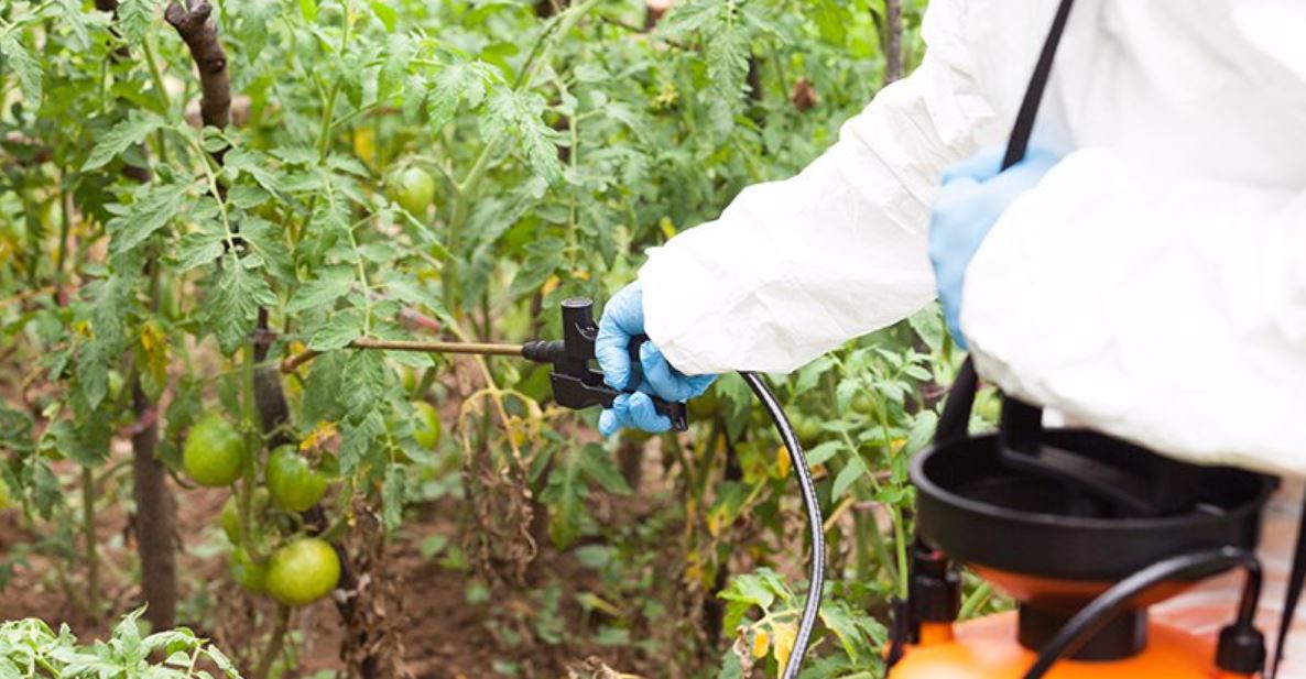 glyphosate CE