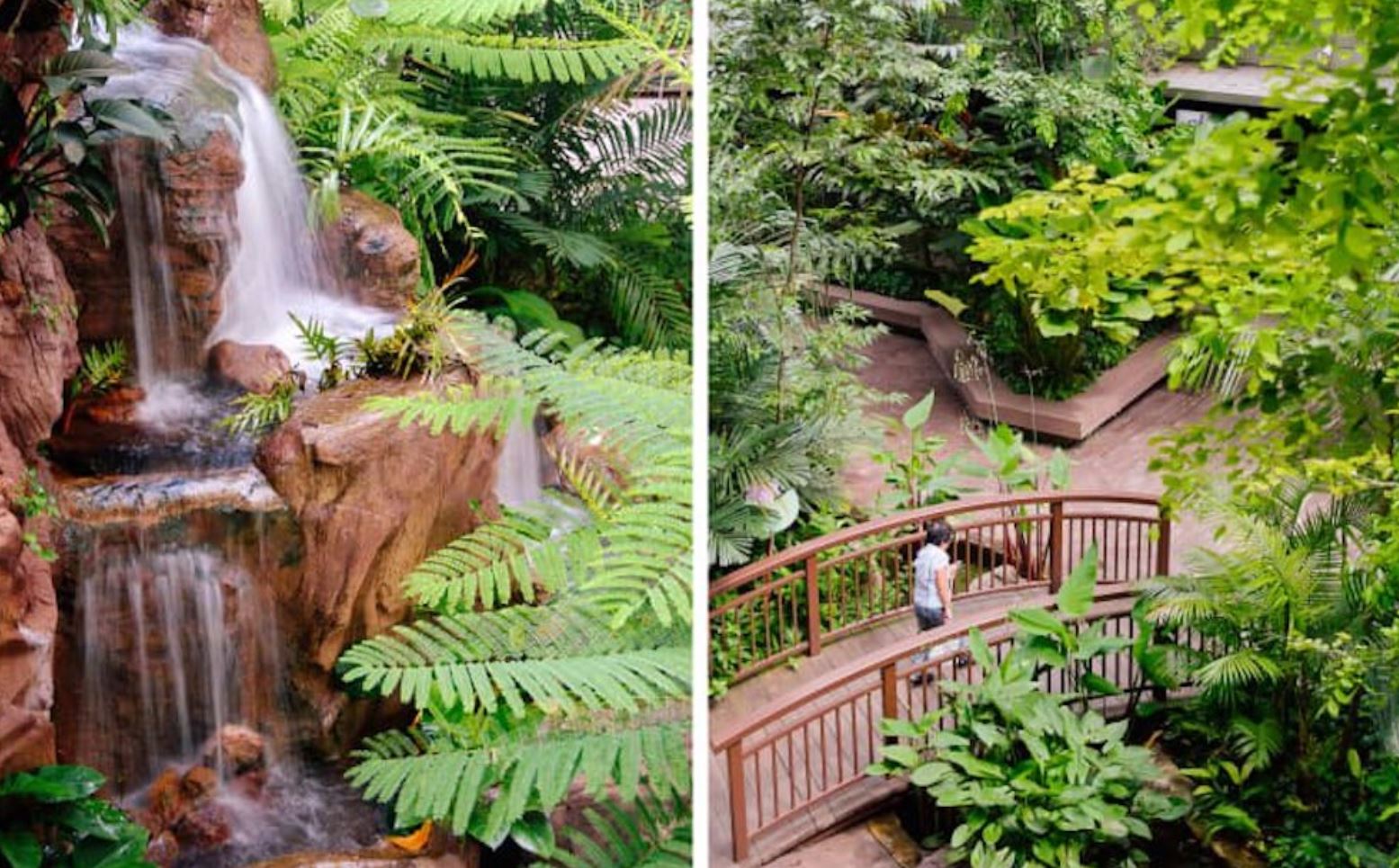 nature hospital CE nature hospital CE