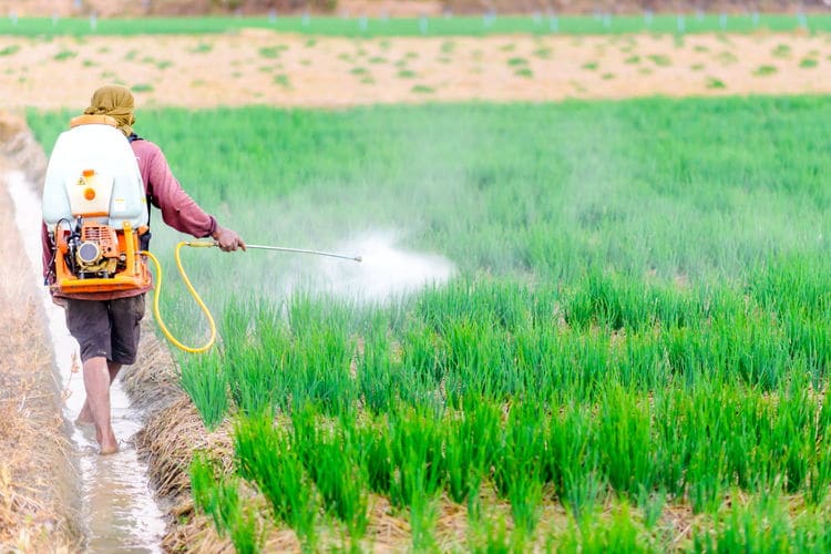 pesticide_sprayingWT pesticide_sprayingWT