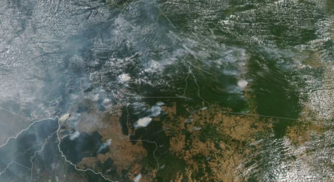rainforest fire TMU