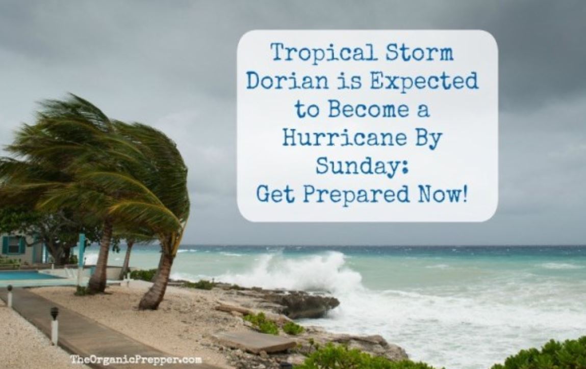 tropical storm dorian tropical storm dorian