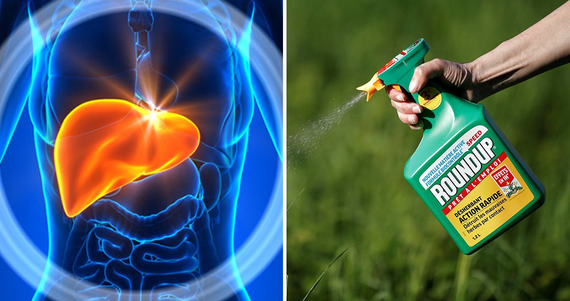 Monsanto-LIVER