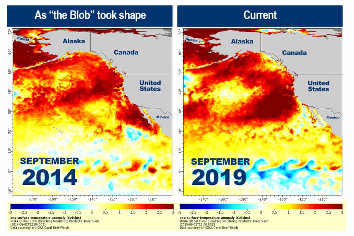 The-Blob-2-NOAA
