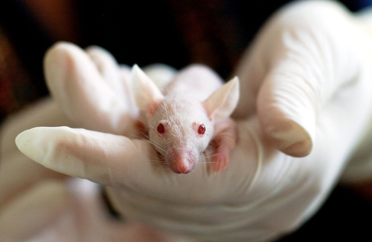 animal testing epa