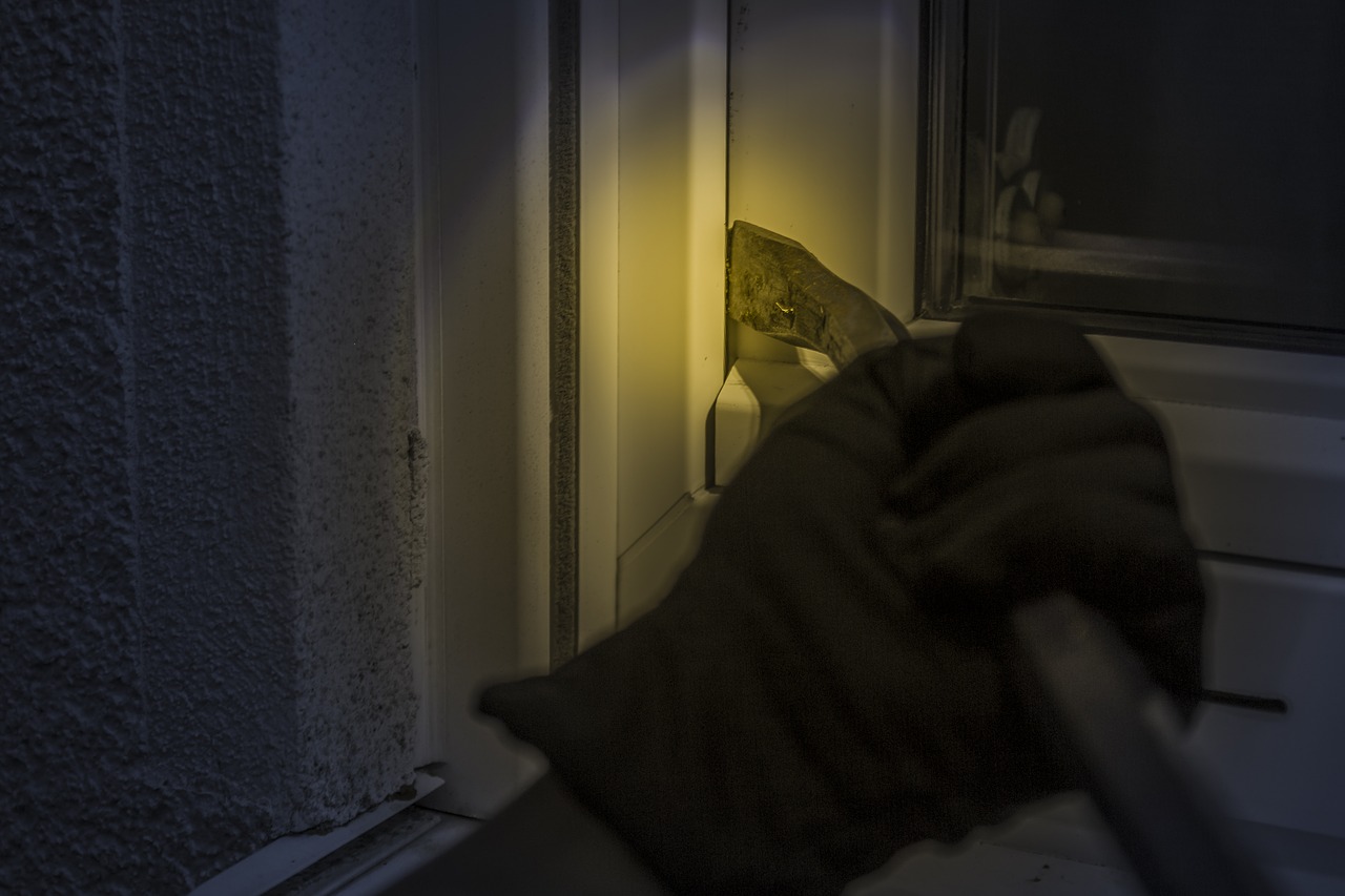 burglar-1678883_1280
