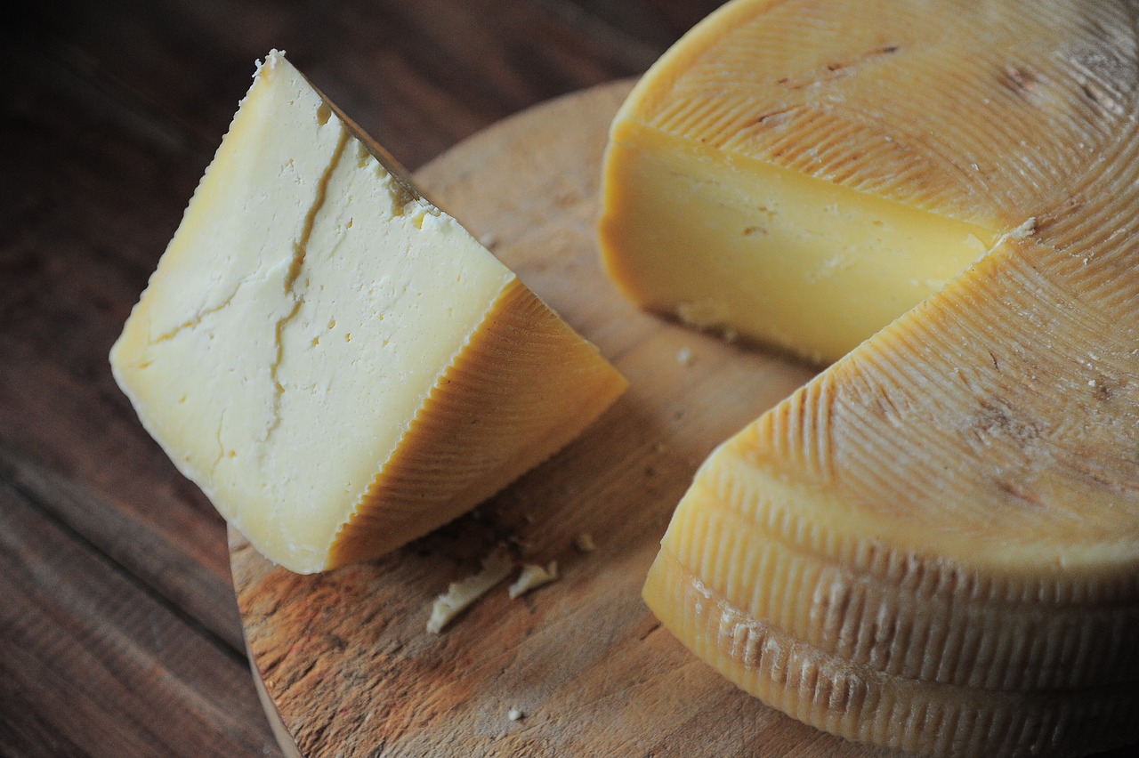 health benefits of cheese health benefits of cheese
