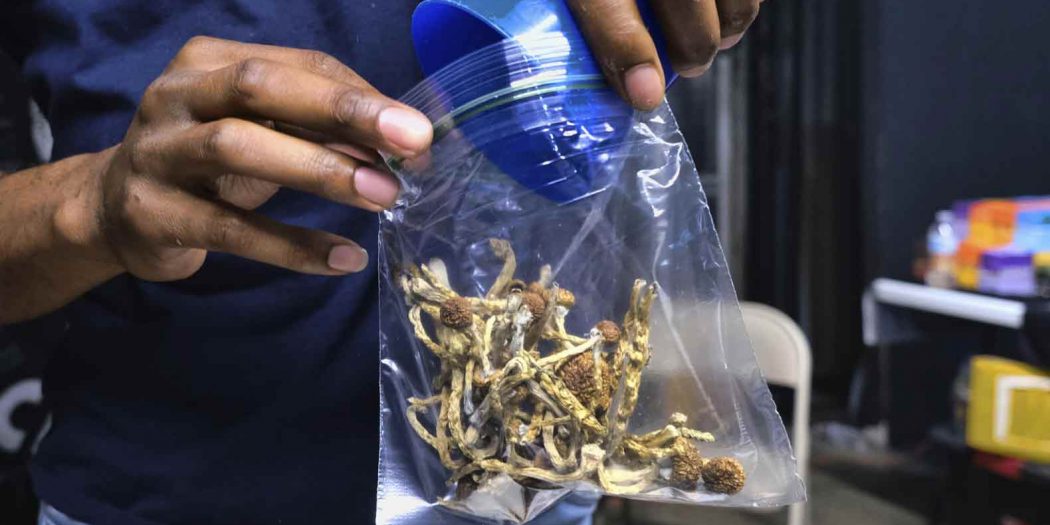 magic-mushrooms-1050x525 magic-mushrooms-1050x525