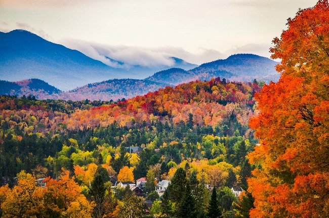 Autumn