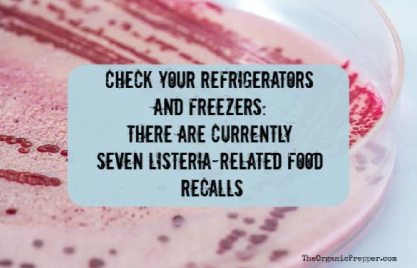 listeria recall