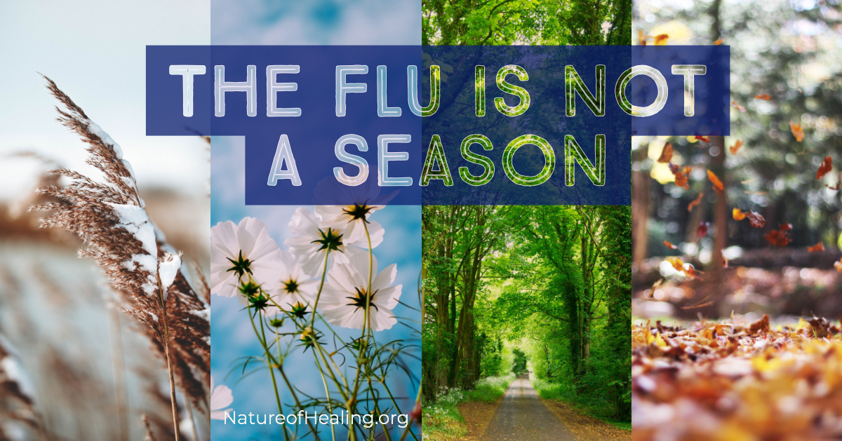 Flu is not a season-2 Flu is not a season-2
