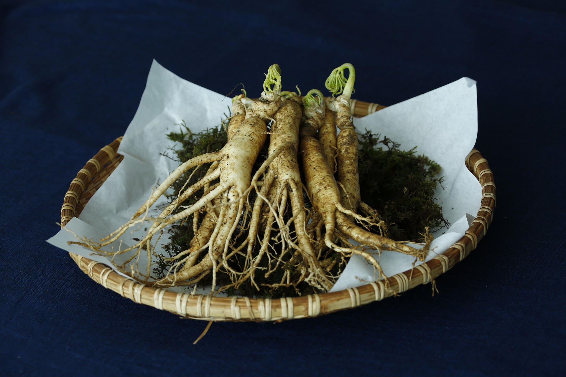 ginseng-chinese-medicinal