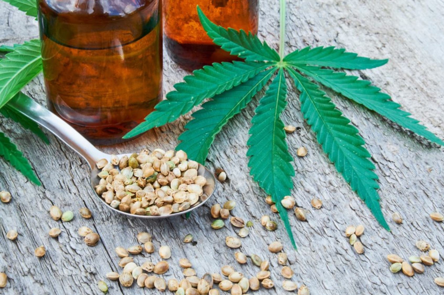 hemp seeds hemp seeds