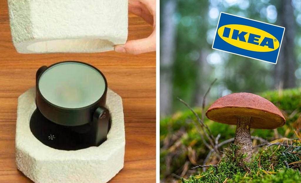 ikea-mushroom