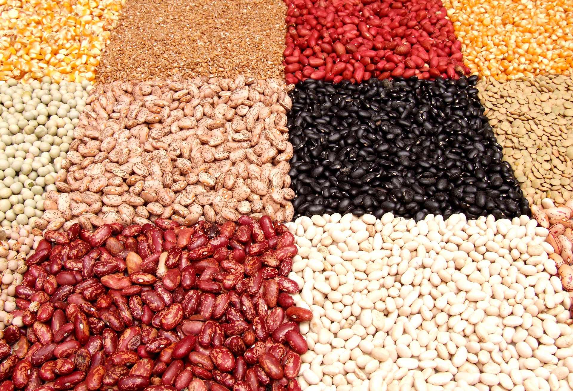 legumes beans
