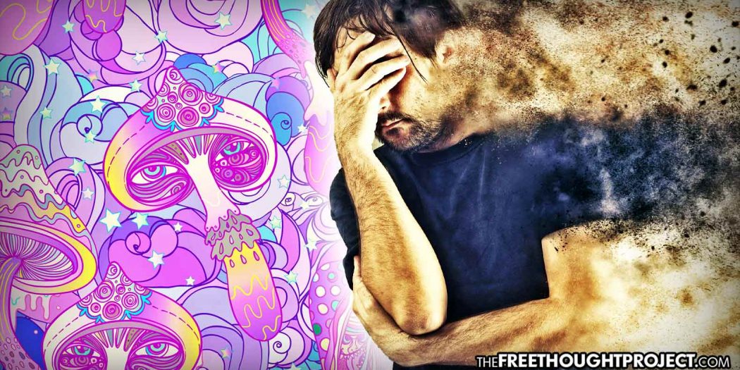 mushrooms-depression-1050x525 mushrooms-depression-1050x525