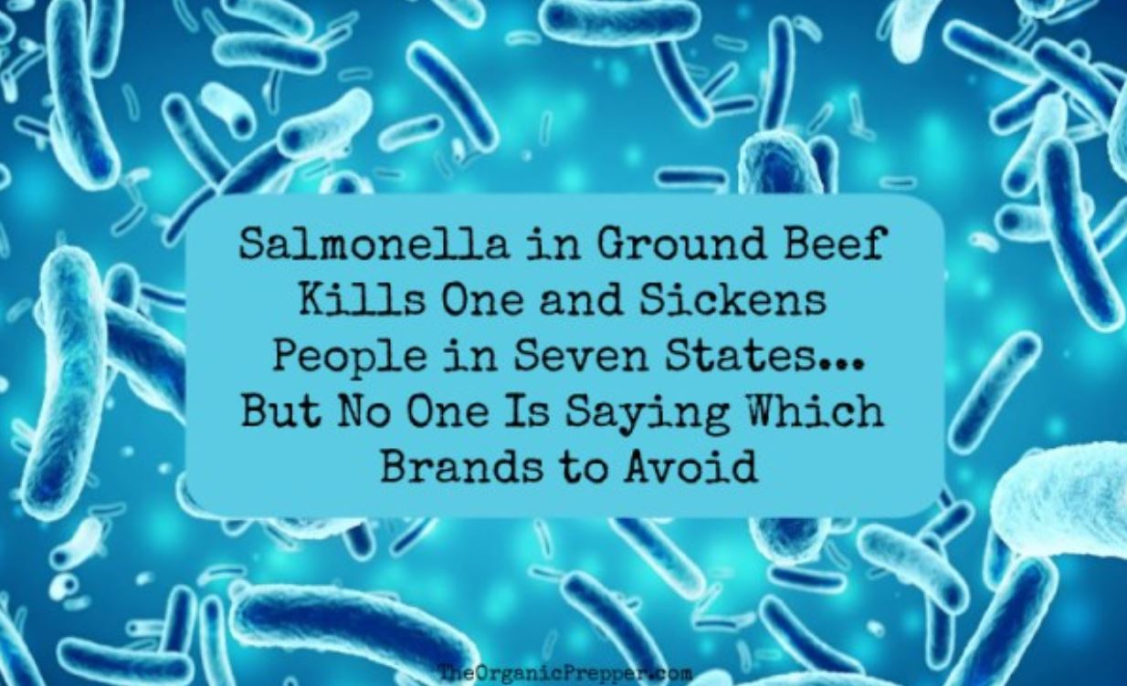 salmonella beef