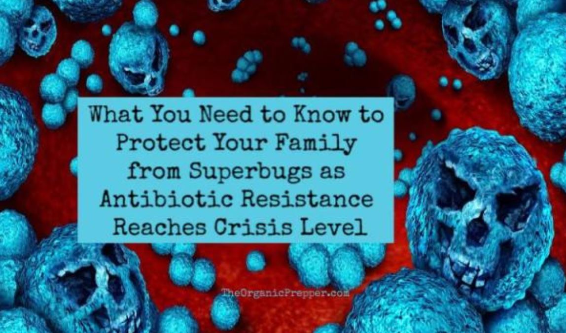 superbugs op