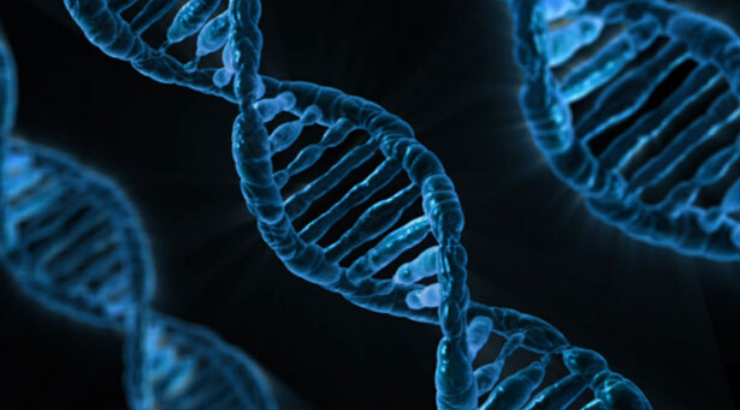 china-gene-edited-baby-experiment-created-unintended-mutations china-gene-edited-baby-experiment-created-unintended-mutations