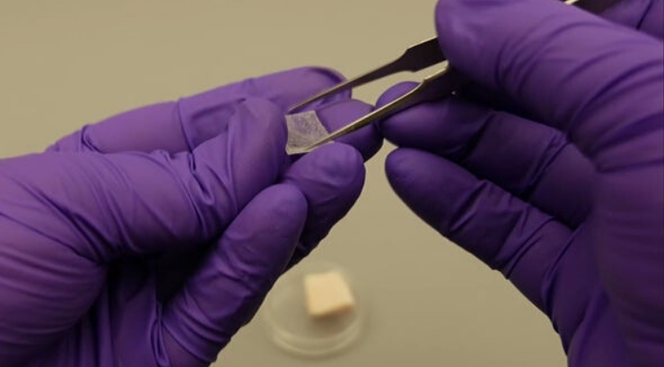 invisible-ink-could-soon-reveal-whether-children-have-been-vaccinated