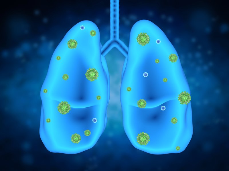 lung