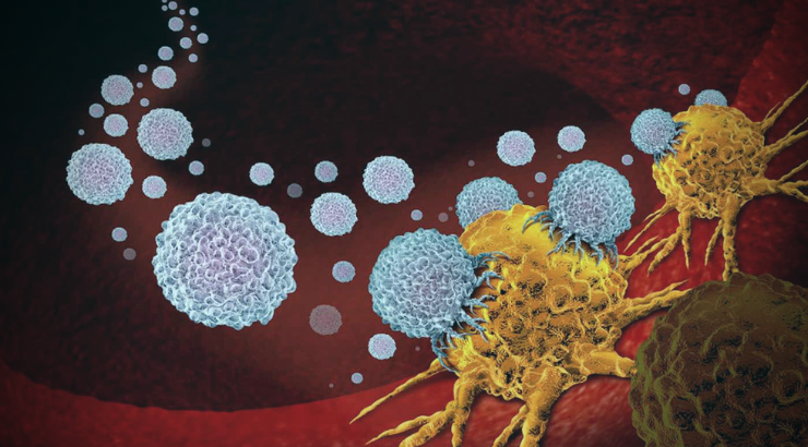 molecule-triggers-self-destruction-pancreatic-cancer-cells