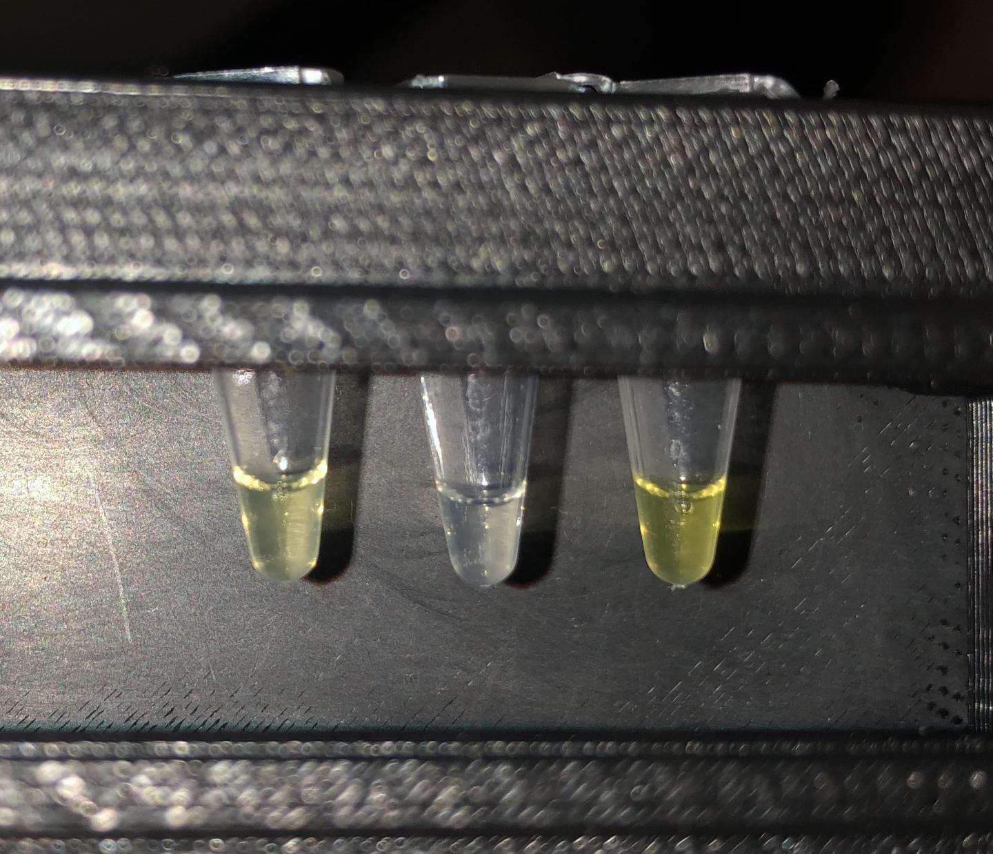 test fluoride drinking water