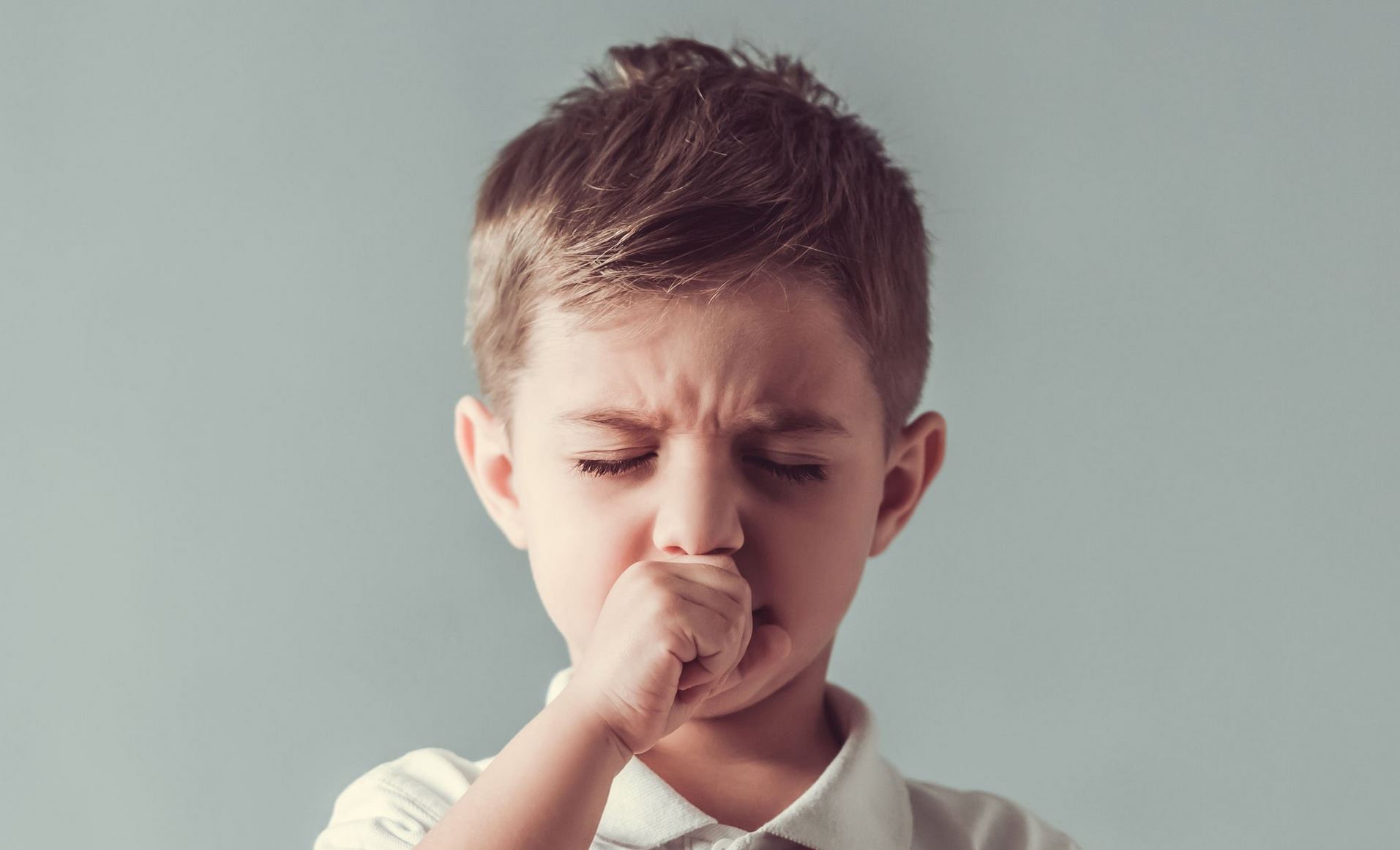 whooping cough CE whooping cough CE