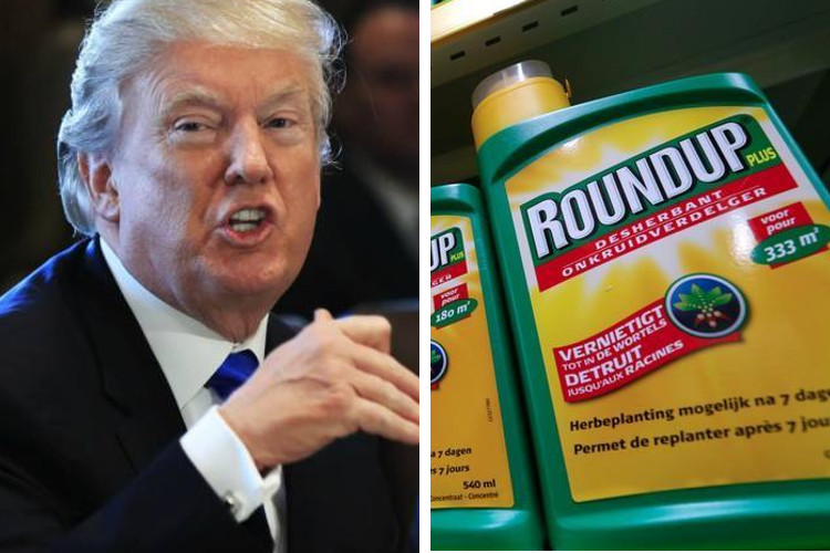 Donald-Trump-Round-Up