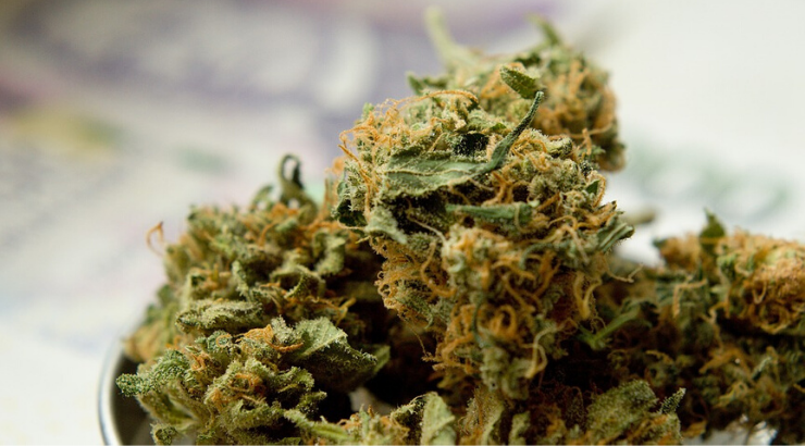 legalize-marijuana