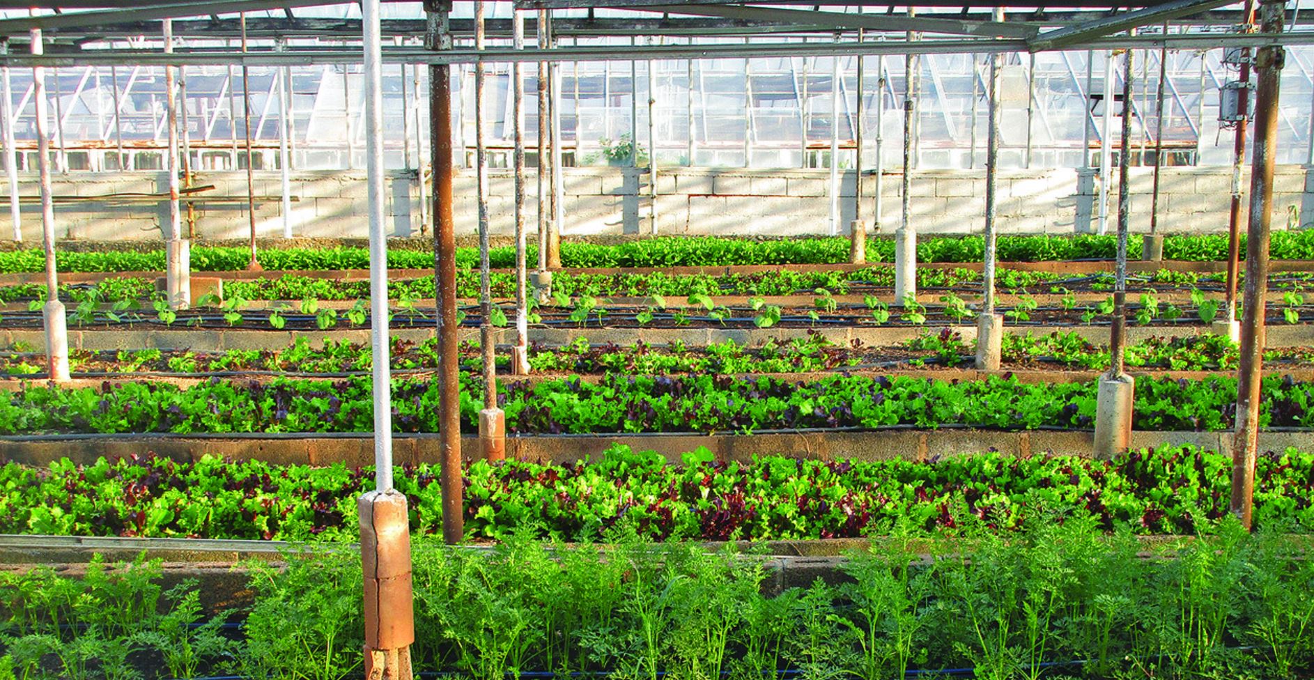 organic farming CE organic farming CE