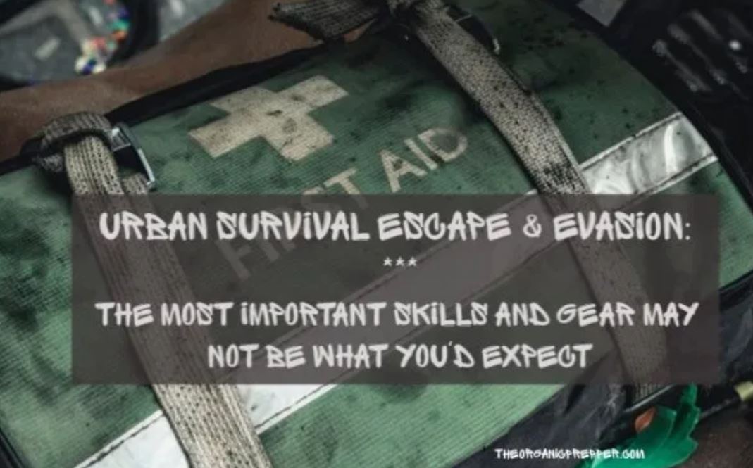 urban survival