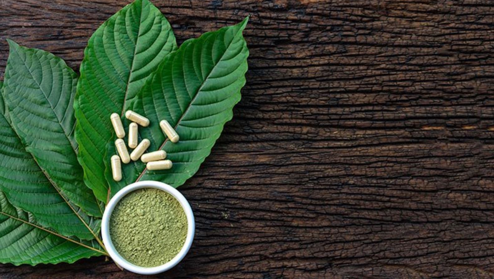 kratom herb kratom herb
