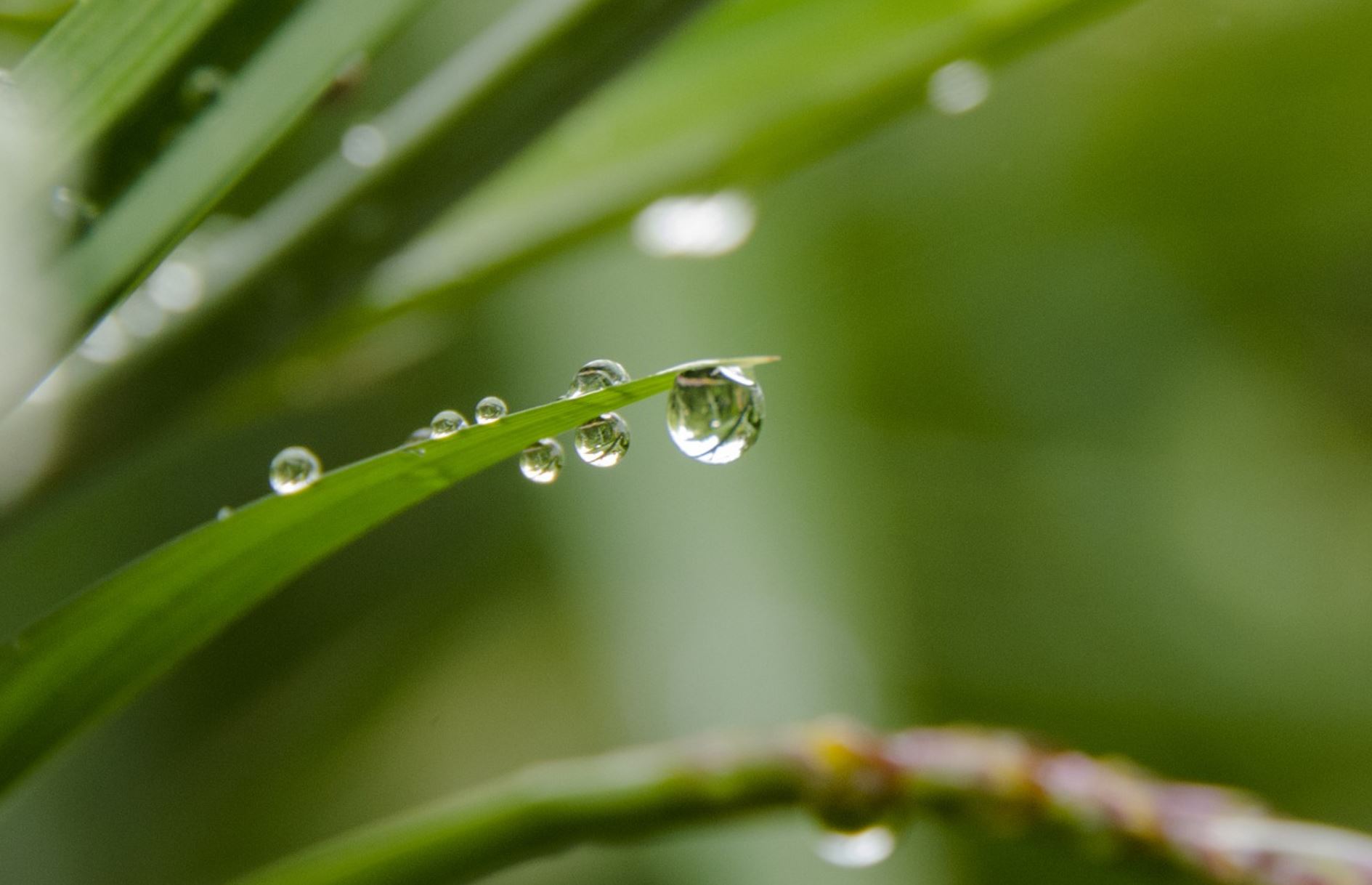 water drop pix