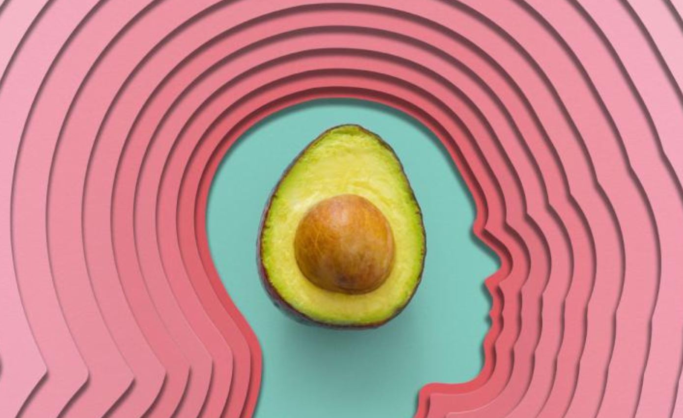 avocado brain avocado brain