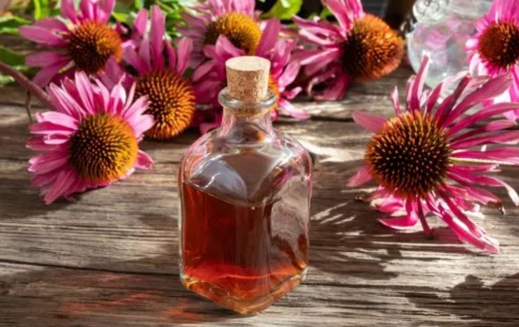 echinacea tincture