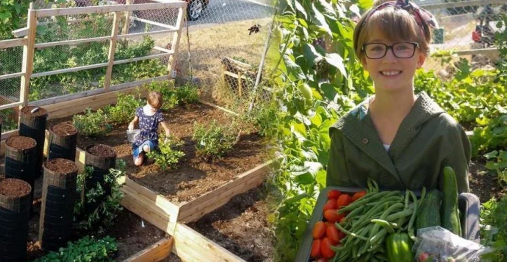 girl grows food homeless tt