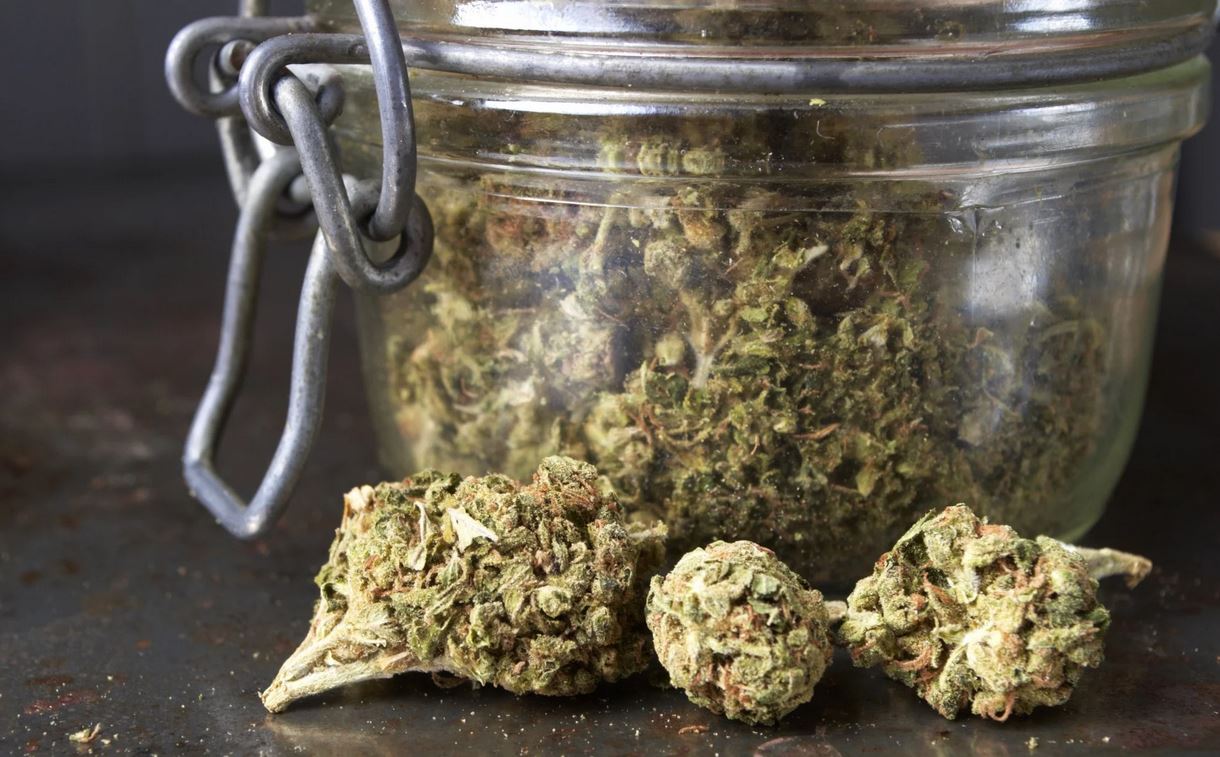 marijuana sales tt marijuana sales tt