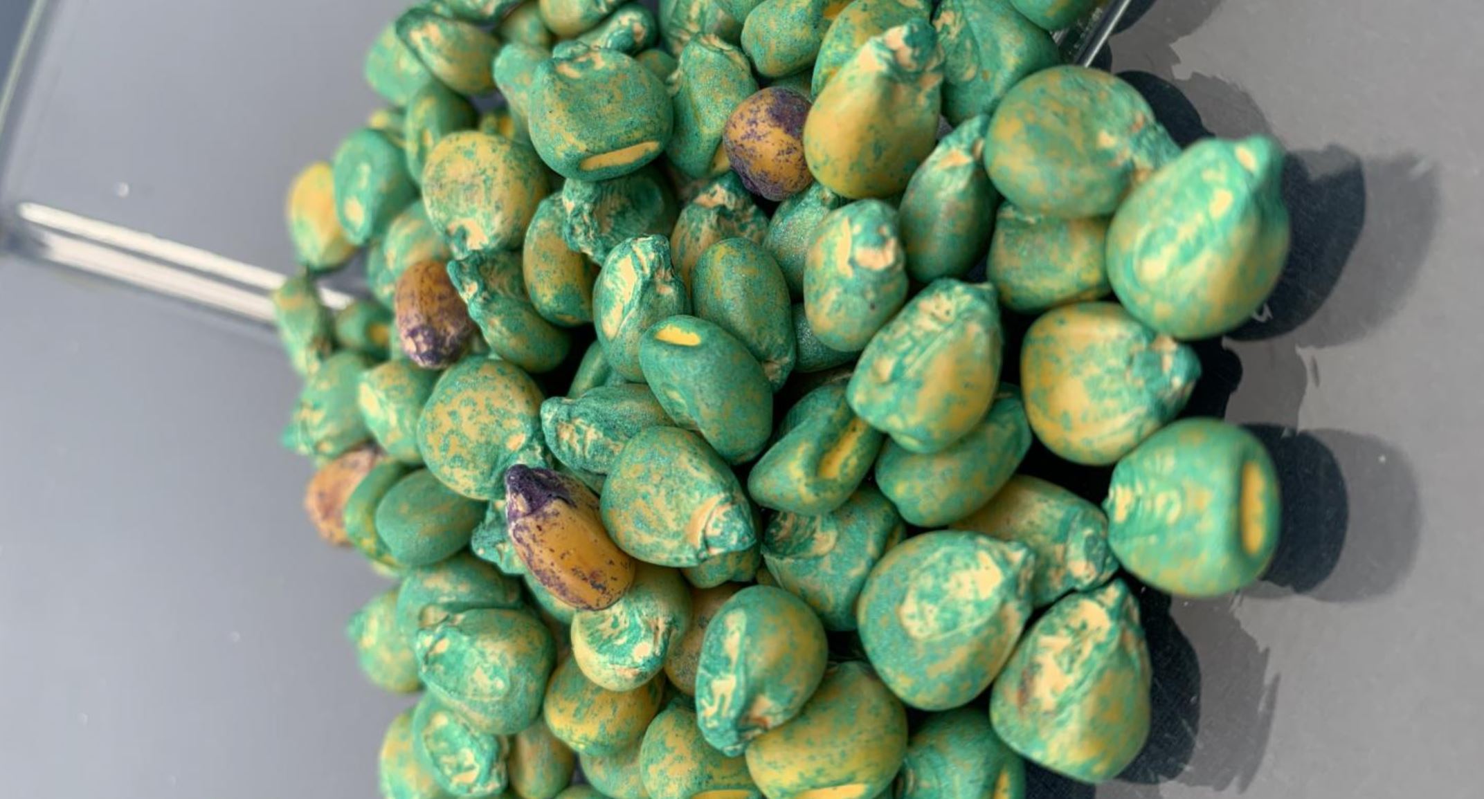 pesticide seeds pesticide seeds