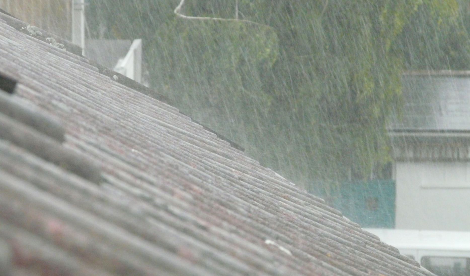 rain collection pix