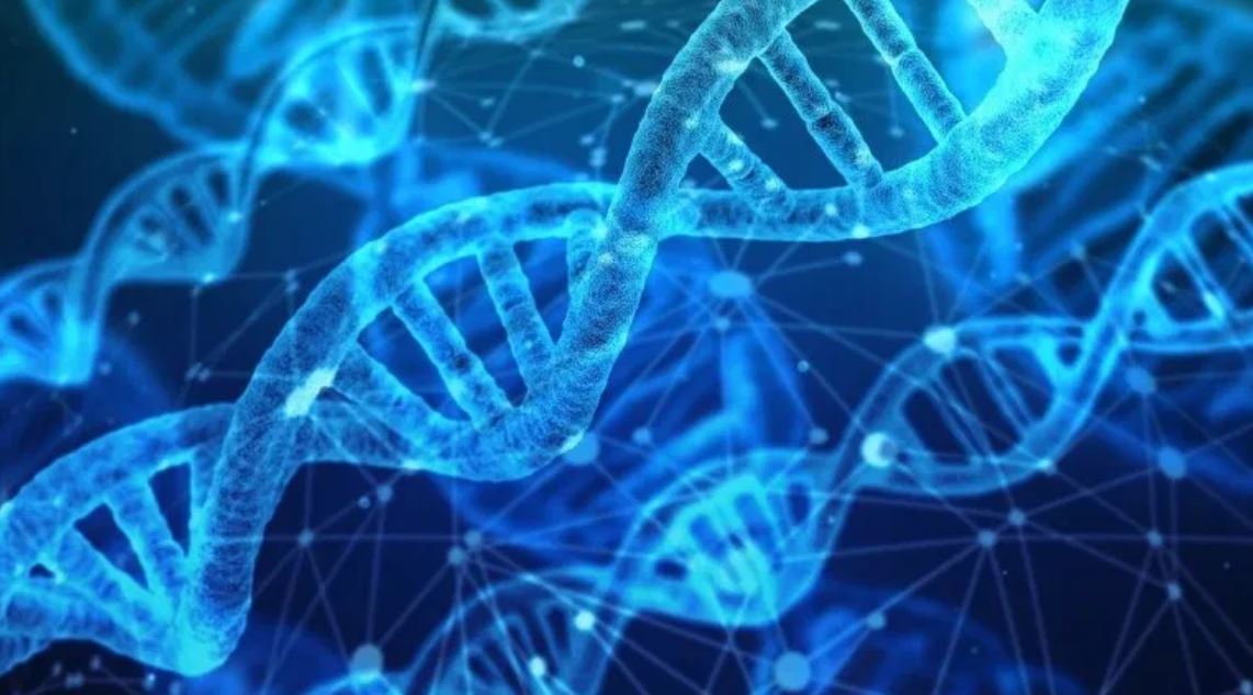 dna otn