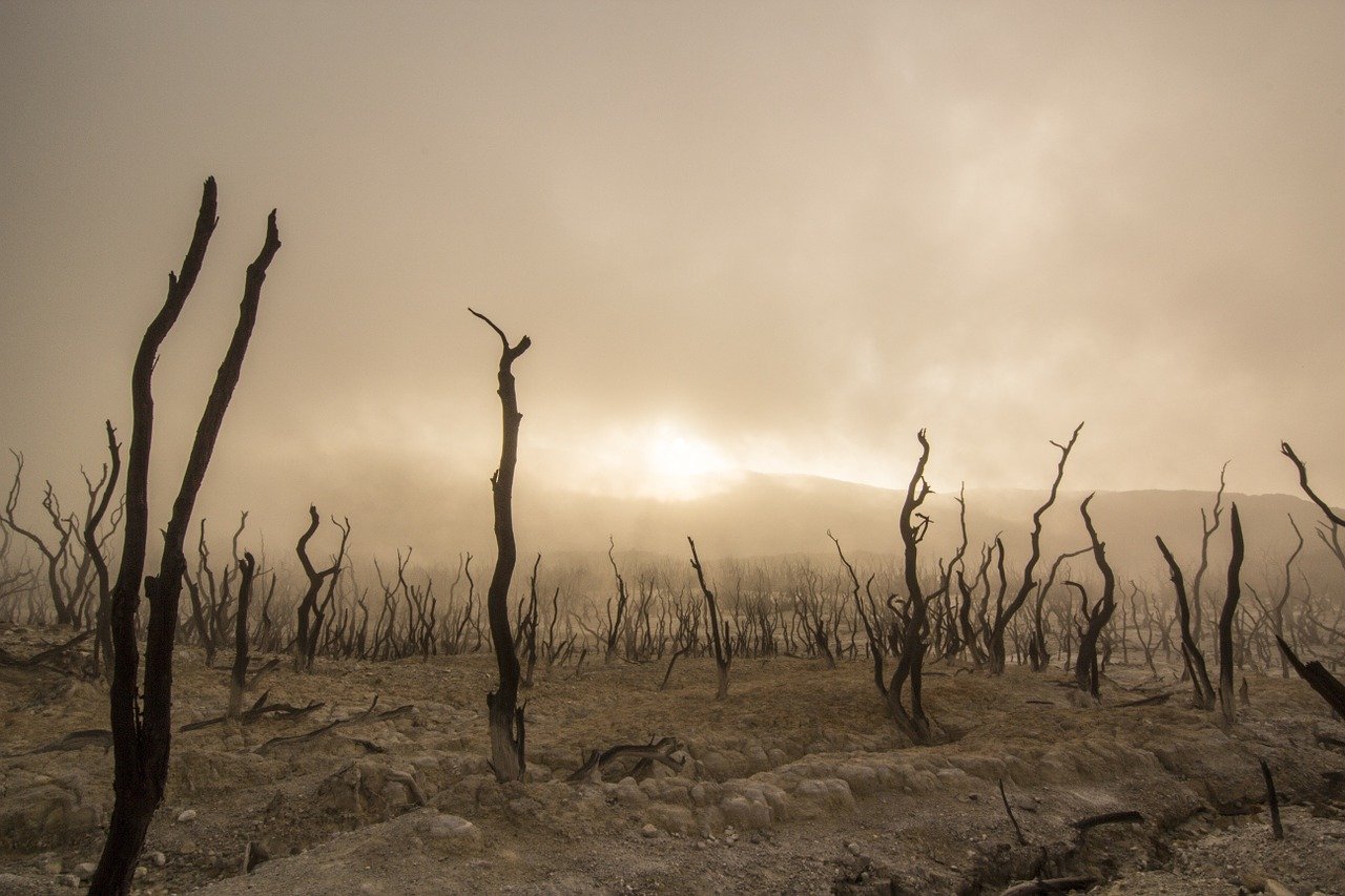 drought food shortages drought food shortages