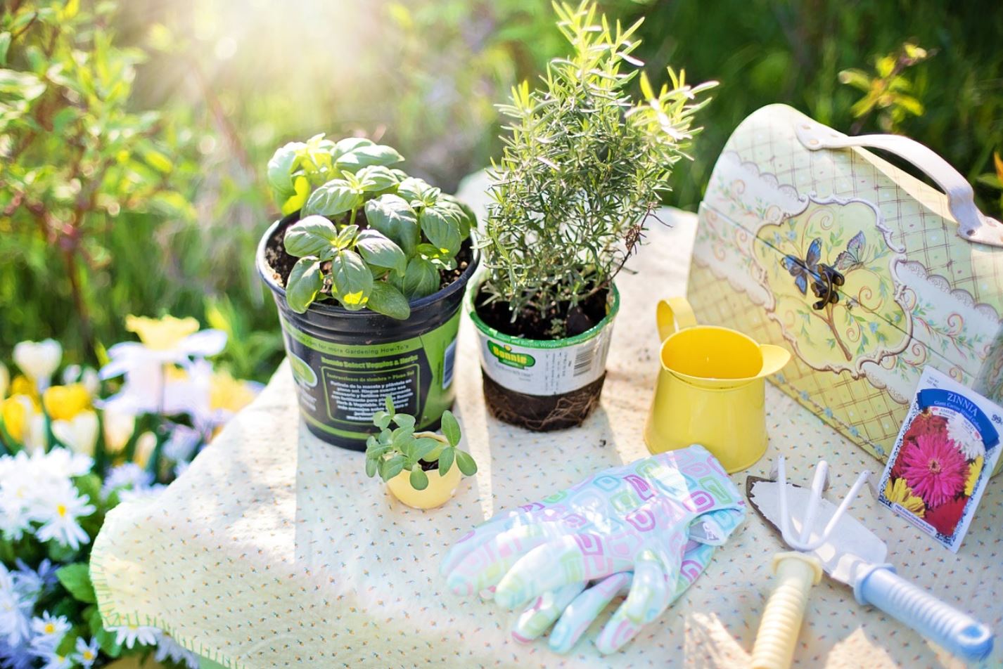 herb garden pix herb garden pix