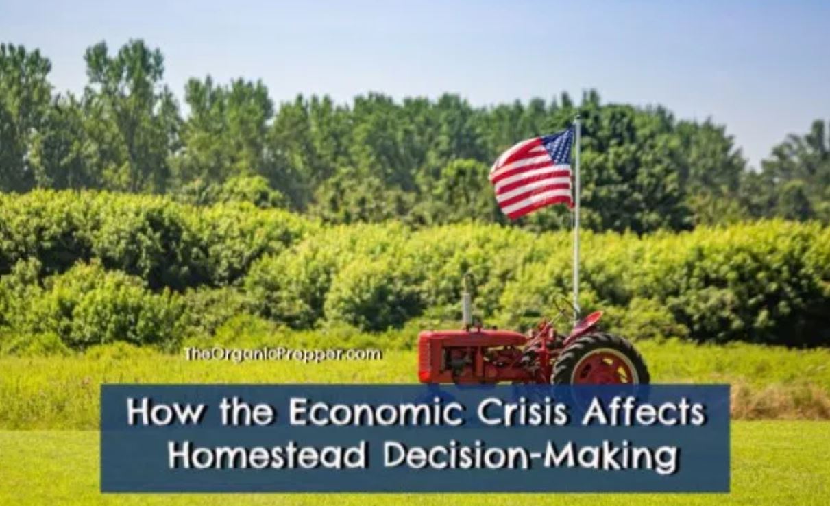homestead OP homestead OP