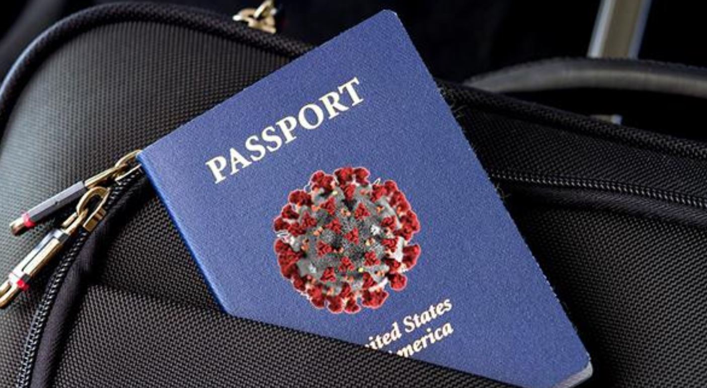 immunity passport zh immunity passport zh