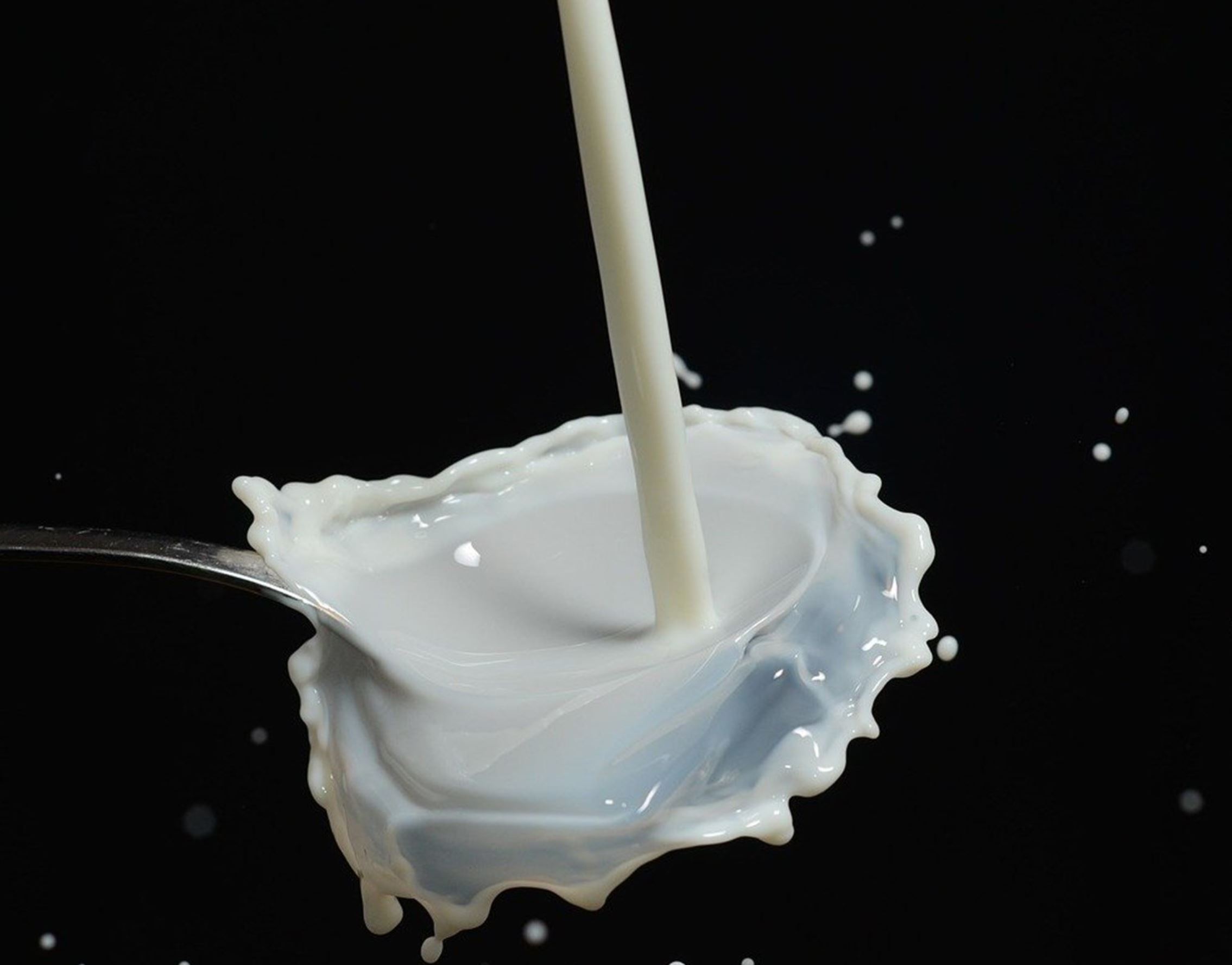 milk fee