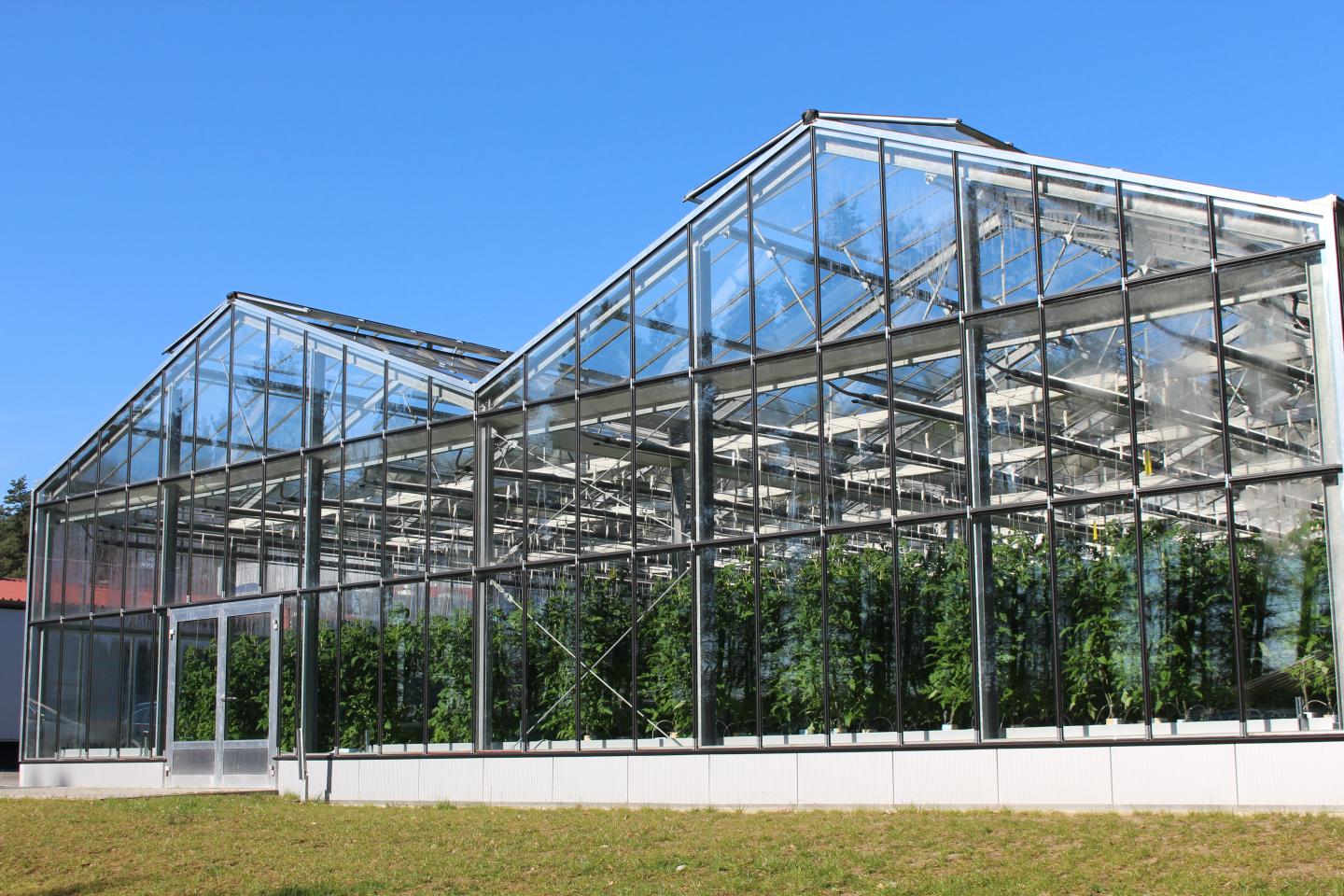 aquaponics