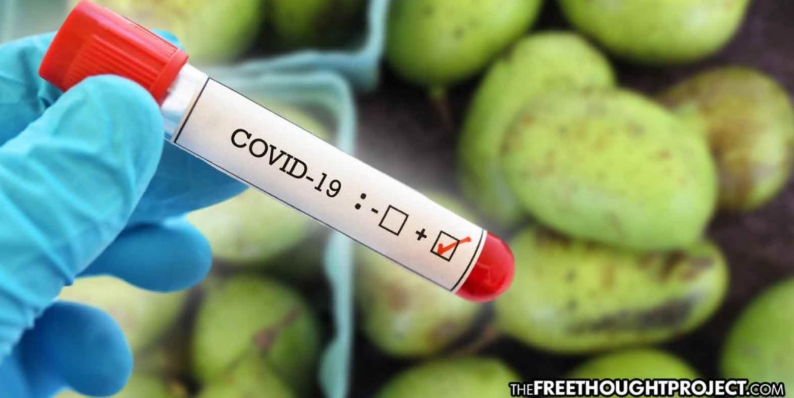 covid fruit covid fruit