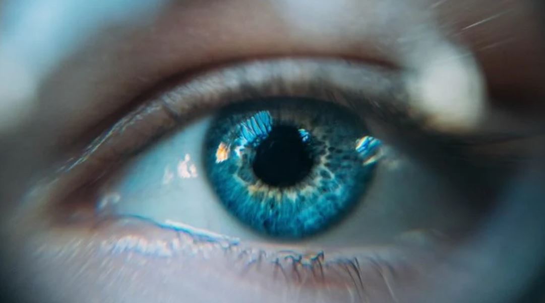 eyes