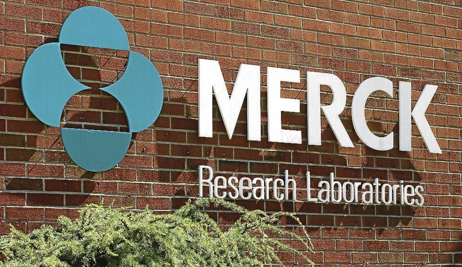 merck HIN